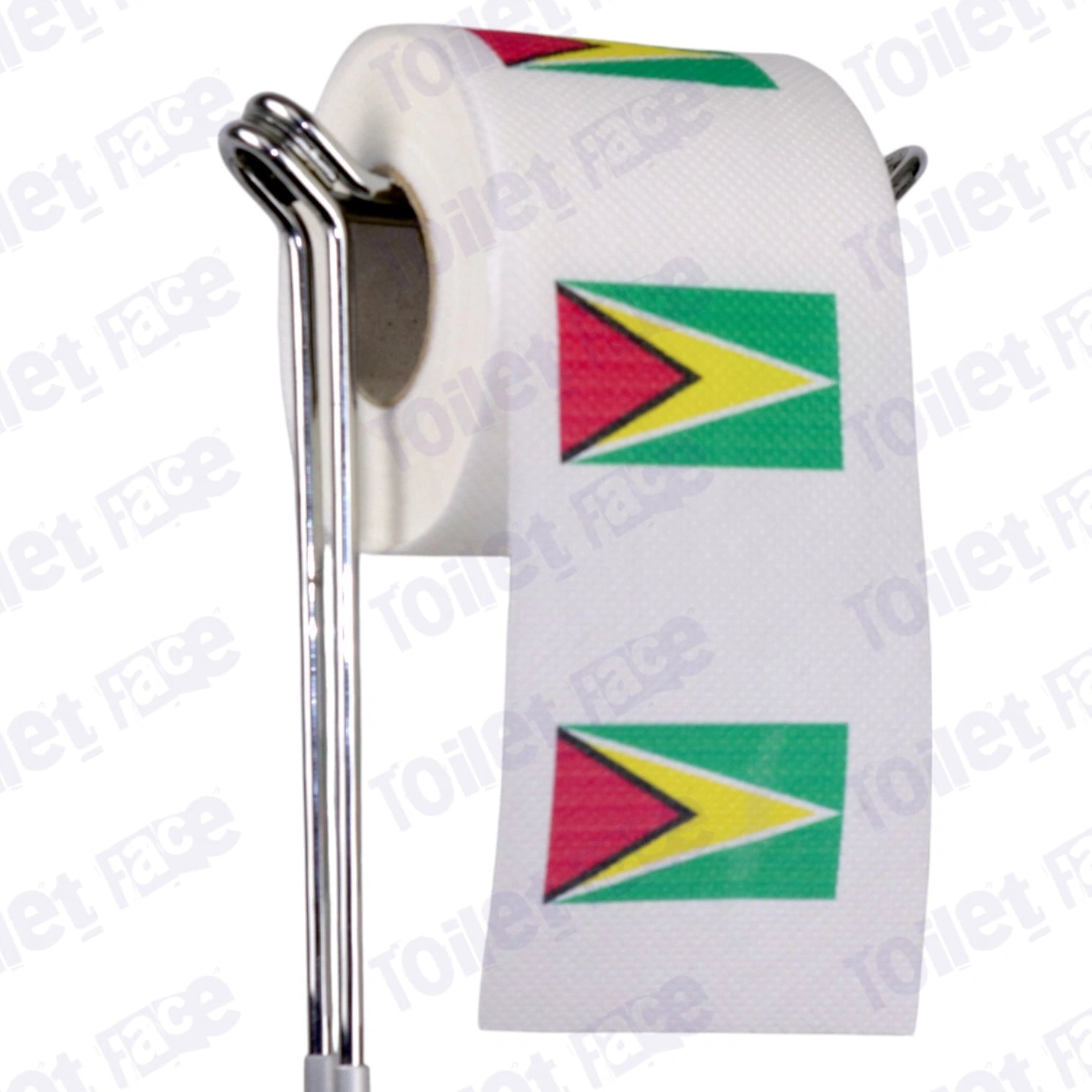 guyana flag novelty toilet paper on a holder
