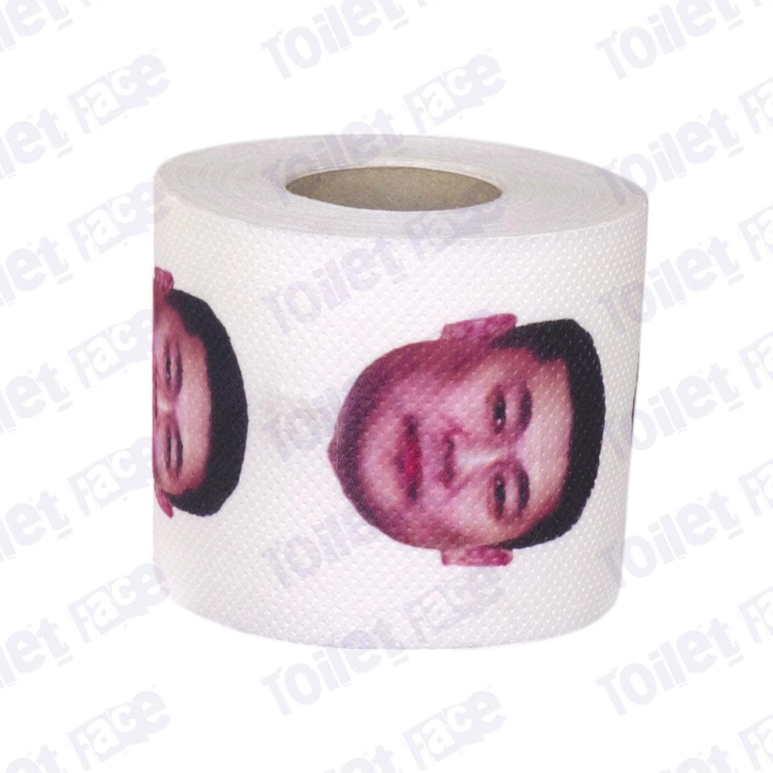 Luvsannamsrain Oyun-Erdene Novelty Toilet Paper Product Image On It's Side