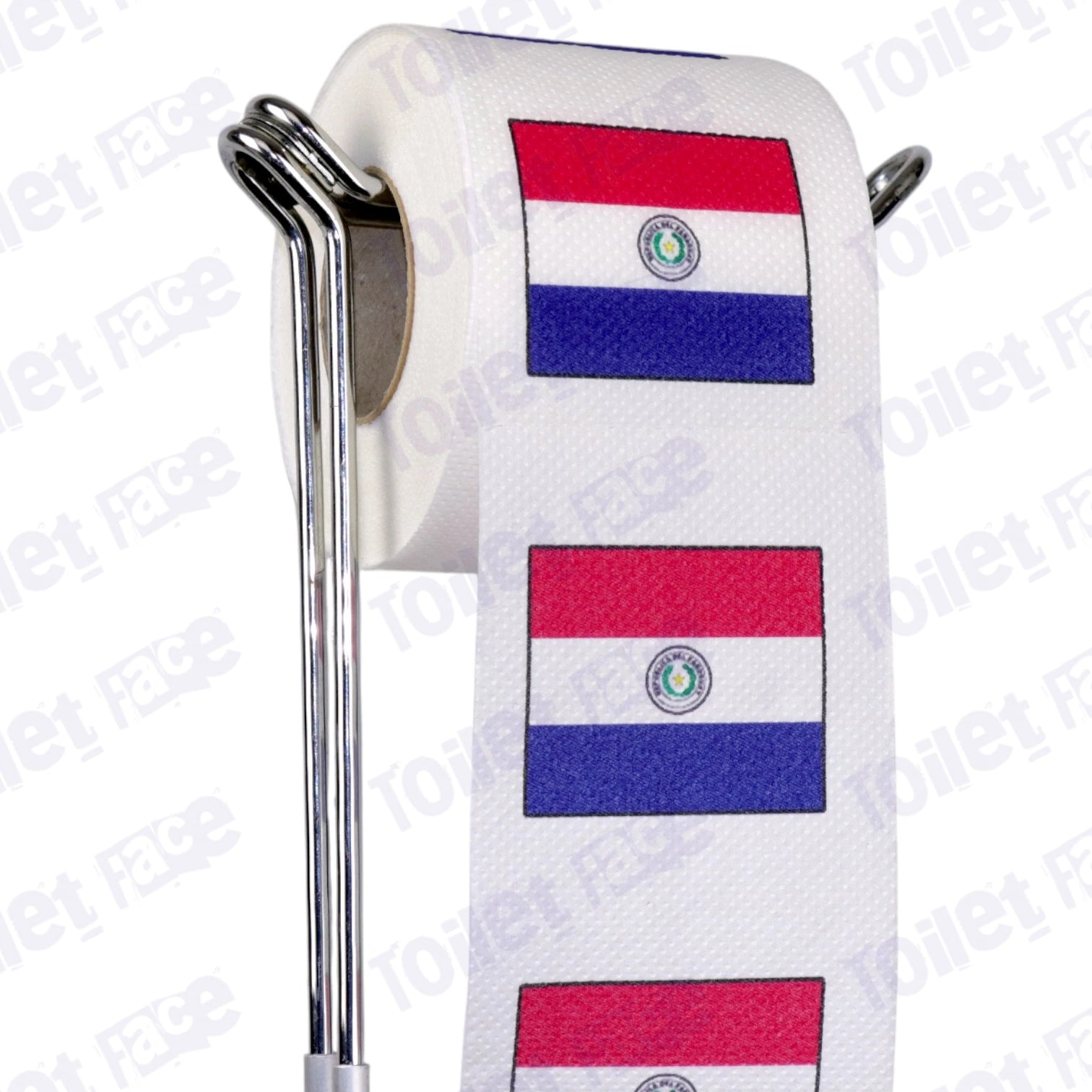 paraguay flag novelty toilet paper on a holder