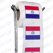 paraguay flag novelty toilet paper on a holder