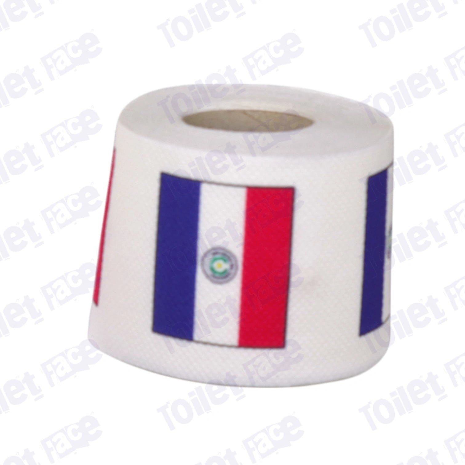 paraguay flag printed on novelty toilet paper roll