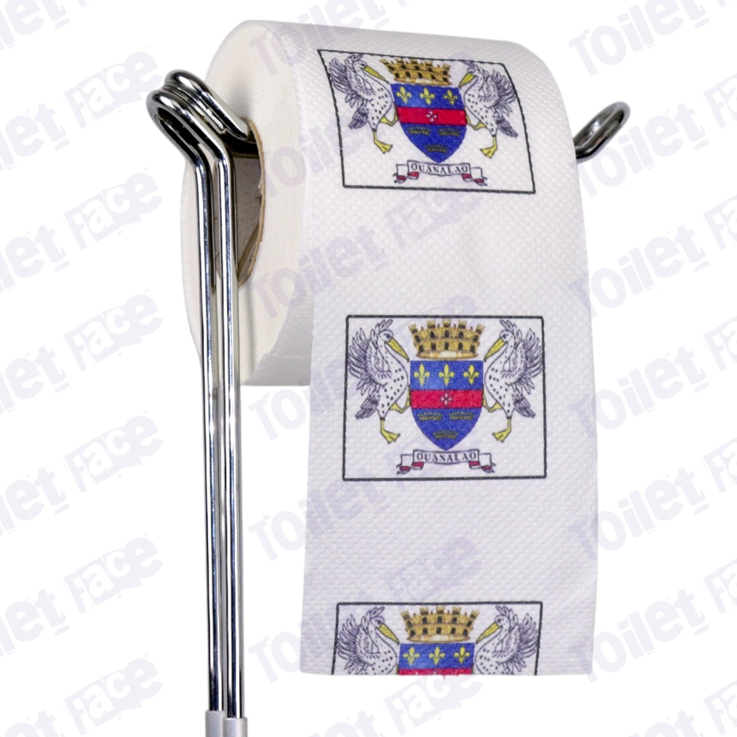 saint barthelemy flag novelty toilet paper on a holder